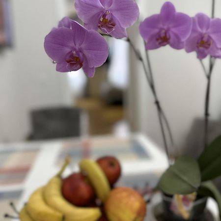 Boem 2 Sibiu Old Town Apartment ภายนอก รูปภาพ